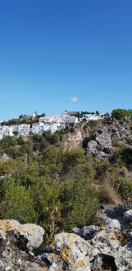Puerto Estepona Exterior foto